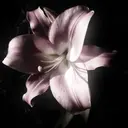 Sacco名駅店 黒淵のプロフィール画像