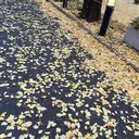 リコ ricoのプロフィール画像