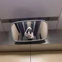 細淵 理子のプロフィール画像