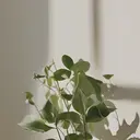 ete .のプロフィール画像