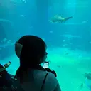 💞絶対カワイイ保証 💞⌇amlのプロフィール画像