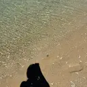 髙橋 智苺のプロフィール画像