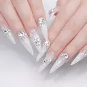 チャン ティ ジエンのプロフィール画像