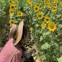 宮原 菜月のプロフィール画像