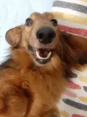 安楽 千恵子のプロフィール画像