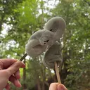 La junaのプロフィール画像