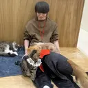 似合わせカット/ボブ 𓍼澁谷礼一のプロフィール画像