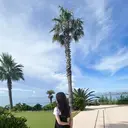 HARUHARU seiraのプロフィール画像