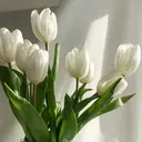 石丸 洋子のプロフィール画像