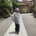 alicetokyo senaのプロフィール画像