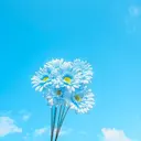 さいとう らんのプロフィール画像