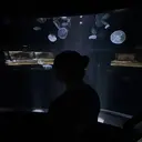 中村 咲羽のプロフィール画像