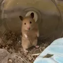 加藤 夏実のプロフィール画像