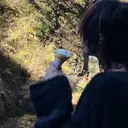 暖色カラー/日韓ヘア 🍩KAISEIのプロフィール画像