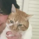 YK 美学院のプロフィール画像