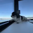 MURATA /UNELMA 天神のプロフィール画像