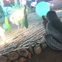 漆下 菜緒のプロフィール画像