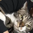 岡本 弥紗のプロフィール画像