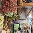 en_ Nanamiのプロフィール画像