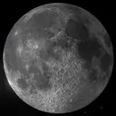 大原 叶夢のプロフィール画像