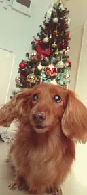 💛うるちゅる ネイル💛ERIKAのプロフィール画像