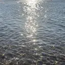 Etel -atelier-のプロフィール画像