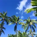 Leanalu 川崎店のプロフィール画像