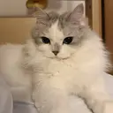 UniqueNail カカのプロフィール画像