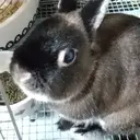 Salon de Bellのプロフィール画像