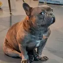 小久保 菜実のプロフィール画像