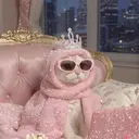 池田 みなのプロフィール画像