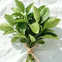 リ ソウのプロフィール画像