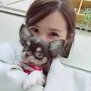 lucolu あこのプロフィール画像