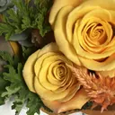 minori🦋韓国 まつパ/パリジェンヌのプロフィール画像