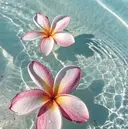 BRILLER /AokiNoaのプロフィール画像