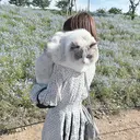 ラスターネイル shioriのプロフィール画像