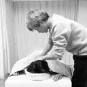 金田 淳志のプロフィール画像