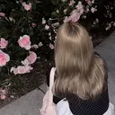 佐藤 紗奈のプロフィール画像