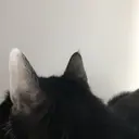 mood nailのプロフィール画像