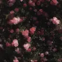 西岡 英菜のプロフィール画像