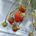 spa& careのプロフィール画像