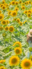 ちぃ ♡のプロフィール画像