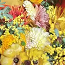 renelle ogataのプロフィール画像