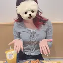 Mai 🪽🩵のプロフィール画像