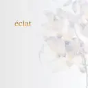 nail salon eclatのプロフィール画像