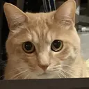 MAQUIA石岡店 吉藤のプロフィール画像