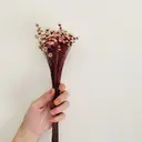 Ueda Riraのプロフィール画像