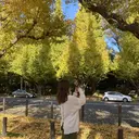 イチハラ🌿銀座🍀 アイブロウリスト🍯のプロフィール画像