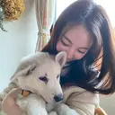 nico kotono🌼のプロフィール画像