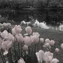 🎀 Kobaのプロフィール画像